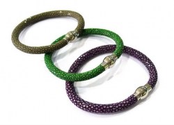 Bangle with magnetic caps